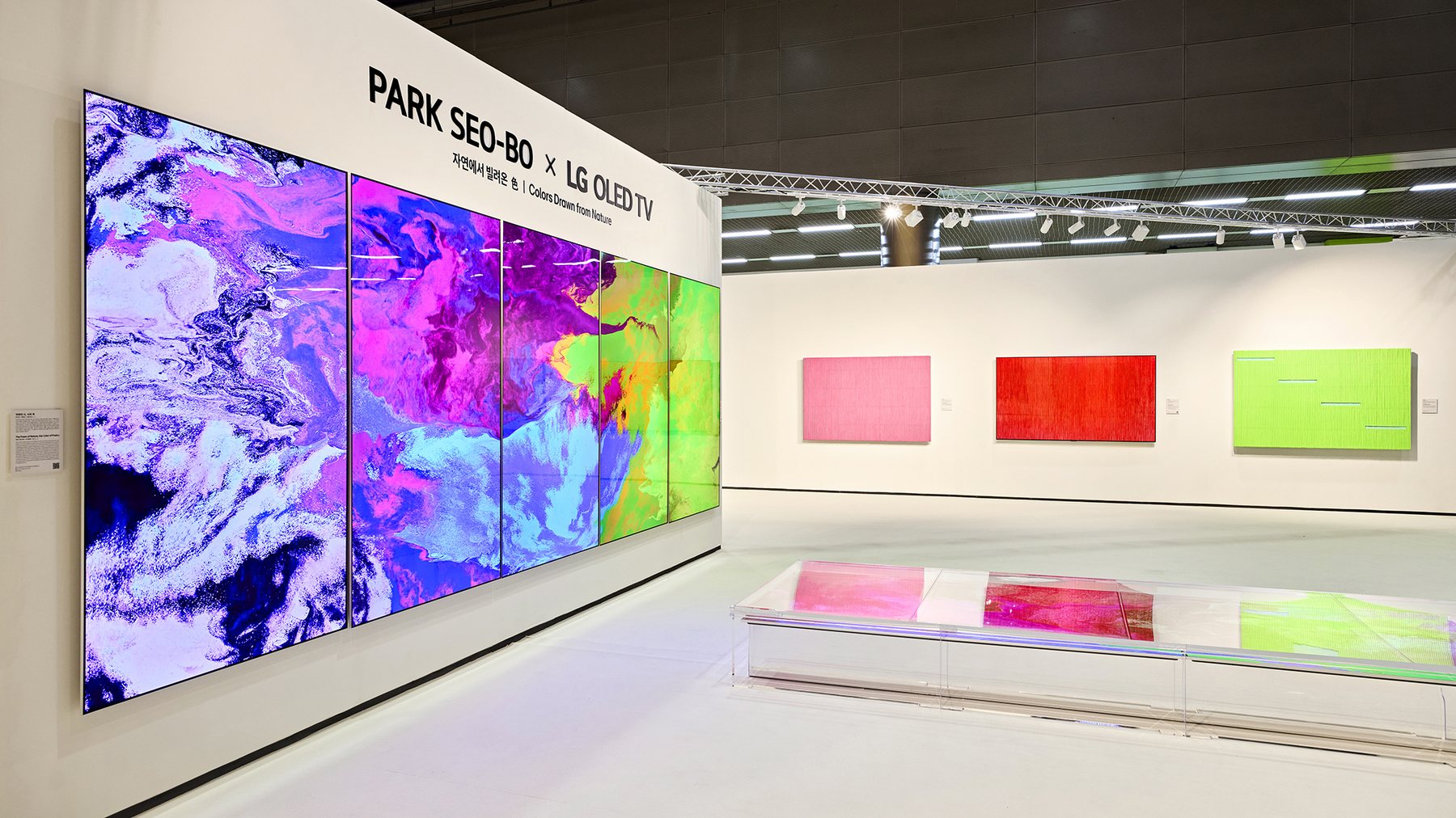 Park Seo-bo x LG OLED TV